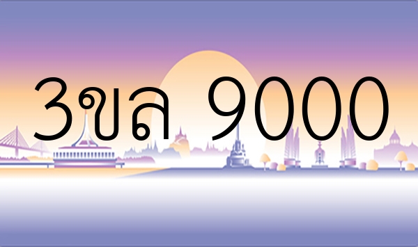 3ขล 9000